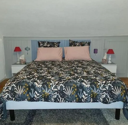Appartement Centre-Ville